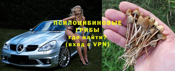 кристаллы Белокуриха