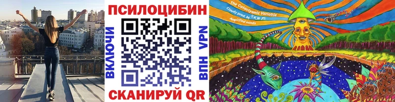Галлюциногенные грибы Magic Shrooms MEGA ТОР Верхний Тагил
